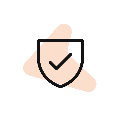 Data Security Icon
